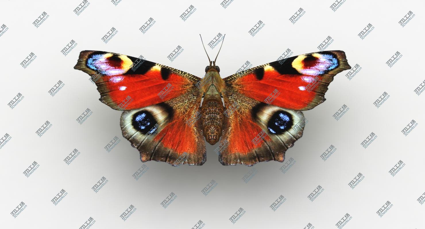 images/goods_img/2021040161/3D model Butterfly Collection/3.jpg